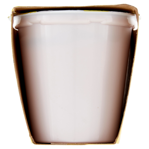 Arborea Yogurt Intero da Latte di Alta Qualità Fragola Frullata 2 x 125 g