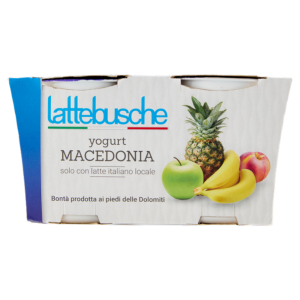 lattebusche yogurt Macedonia 2 x 125 g