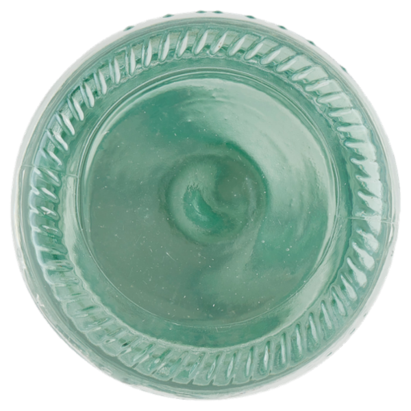 Galvanina Gassosa Biologica 355 ml