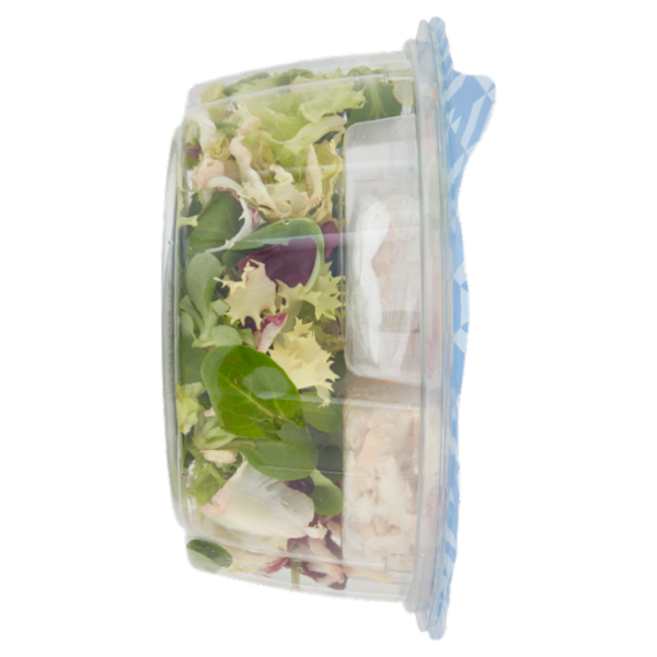 DimmidiSì Piatto unico goloso Caesar salad con Grana Padano 135 g