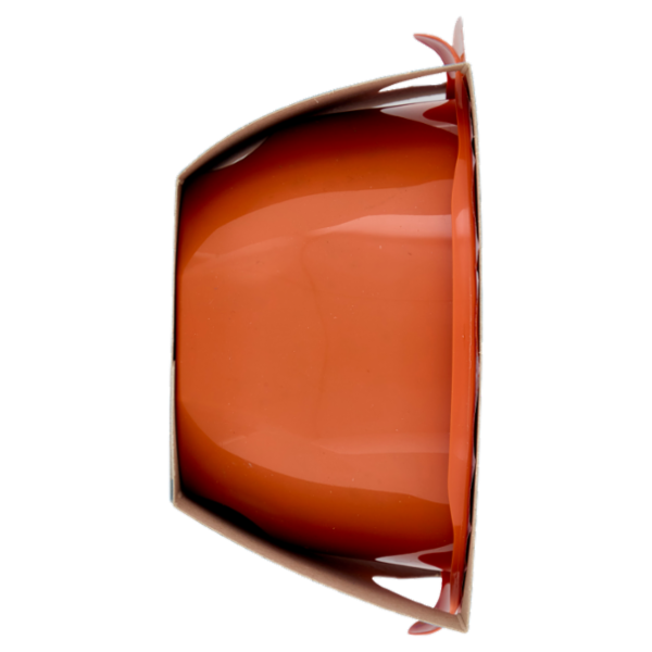 DimmidiSì le Zuppe fresche Zuppa alla Ligure con Basilico Fresco Senza Aglio 620 g