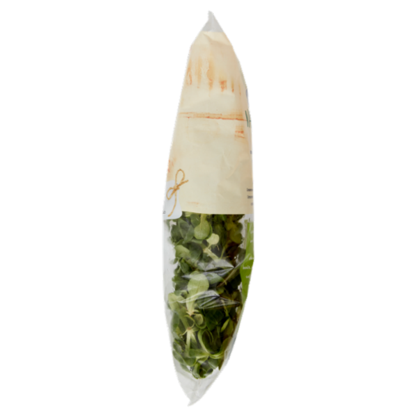 IL GIGANTE le Insalate Valeriana 180 g