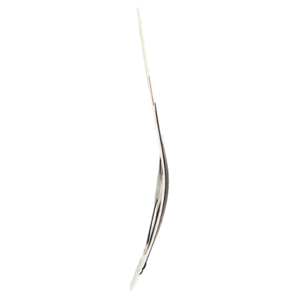 Franck Provost Clic Clac 2 pz