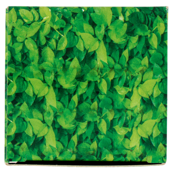 Matt olio Ricino Rinforzante Capelli - Ciglia - Unghie 100 ml