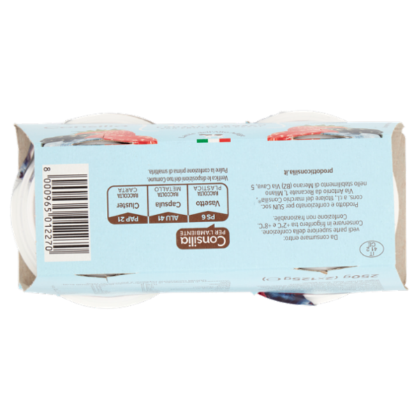 Consilia Yogurt Magro 0,1% Frutti di Bosco 2x125 g