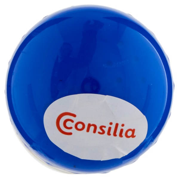 Consilia Saper Scegliere Stuzzicadenti in Betulla 250 pz