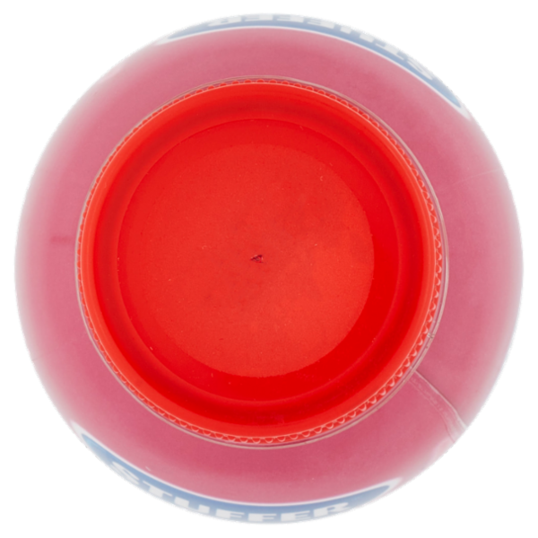 Stuffer Liberi dal lattosio Yogurt da Bere Fragola 500 g