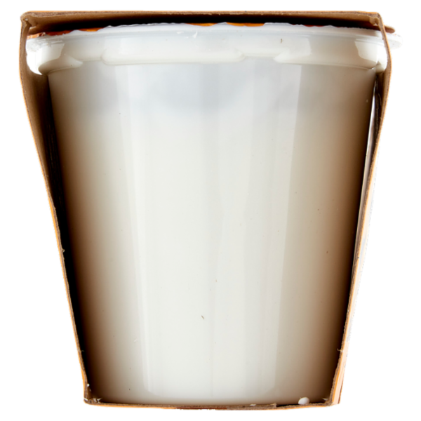 Arborea Ad Alta digeribilità Yogurt Bianco Senza Lattosio zero grassi 2 x 125 g