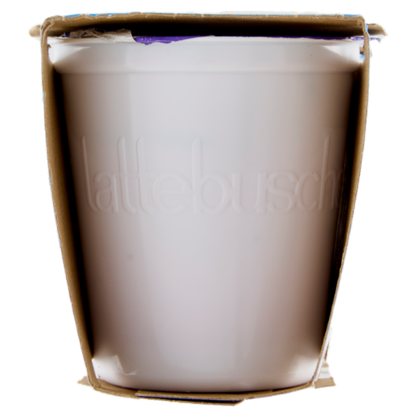 lattebusche yogurt Mirtilli 2 x 125 g