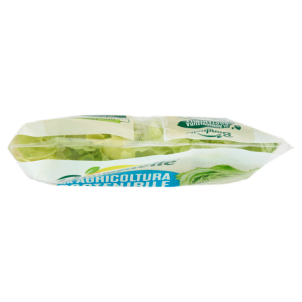 Bonduelle Iceberg 100 g