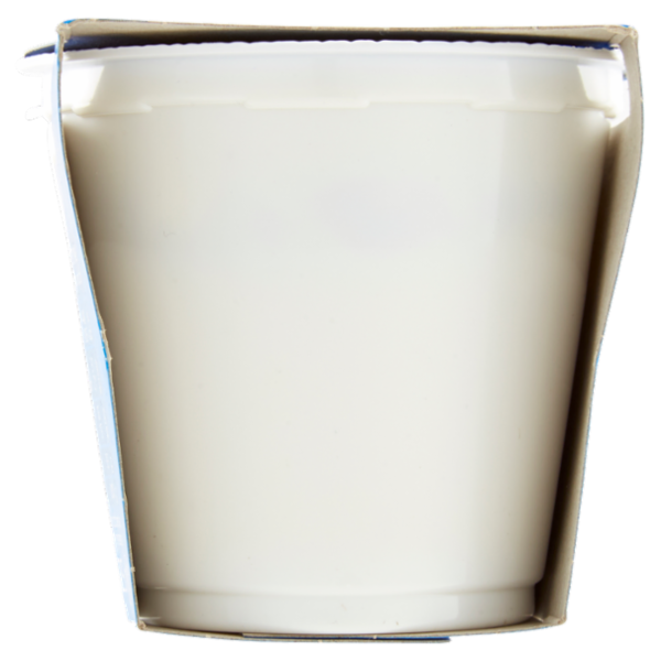 Selex Yogurt Intero Pistacchio 2x125 g