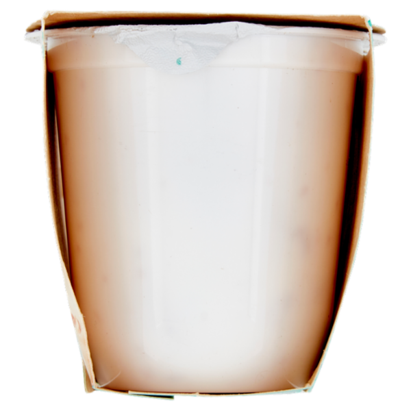 Granarolo Yogurt Cremoso con 5 cereali 2 x 125 g