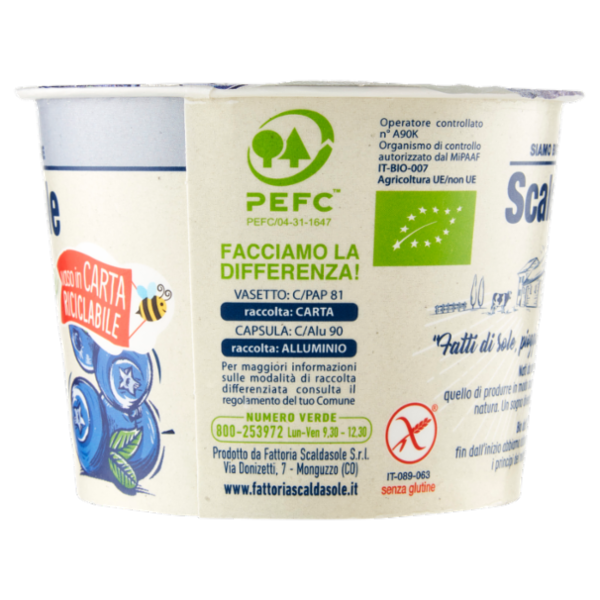 Scaldasole Biologico Mirtillo Yogurt Magro 250 g