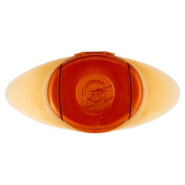 Garnier Ultra Dolce Shampoo Tesori di Miele, con Pappa Reale e Miele per capelli fragili, 250 ml