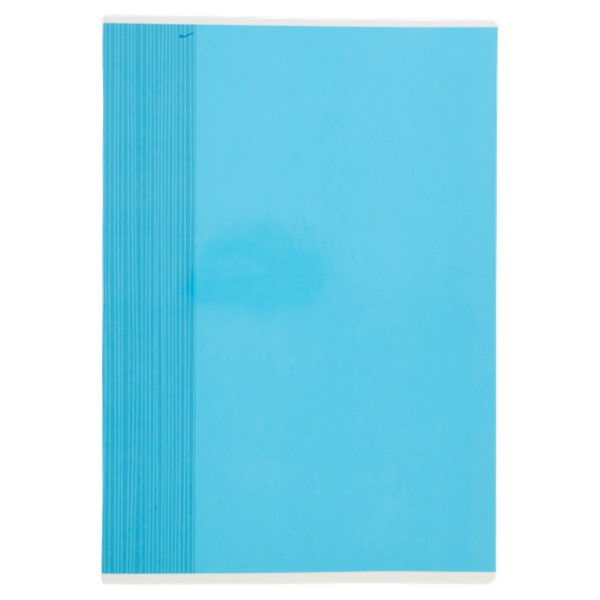 Selex Quaderno Maxi Formato A4 40 Fogli Riga Unica con Margine