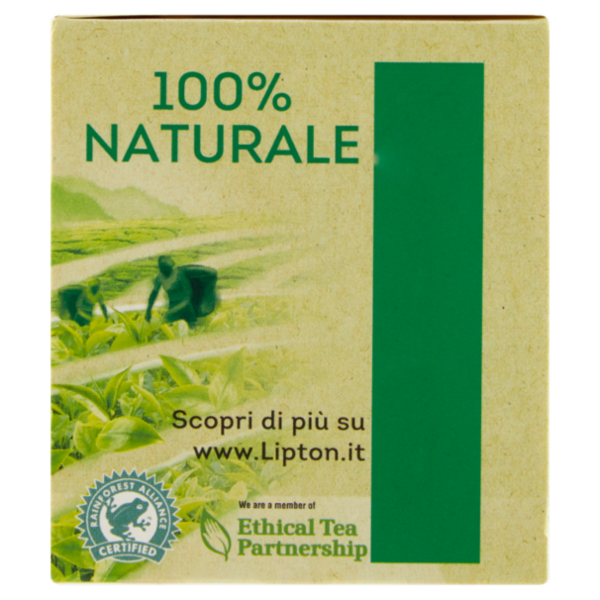 Lipton Tè Verde Classico 25 Filtri 32,5 g