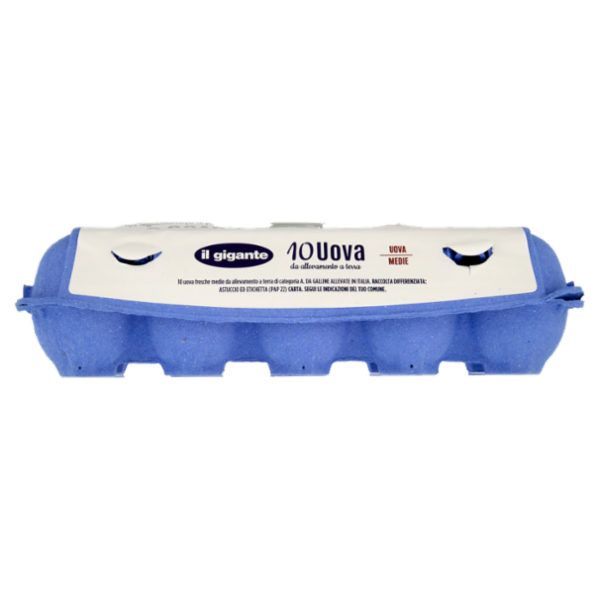 IL GIGANTE Uova da allevamento a terra 10 Uova Fresche Medie