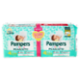 Pampers Baby-dry Maxi 24 + 24 pz
