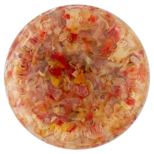 Coelsanus Farci Toast Salsa Vegetale Classico 535 g