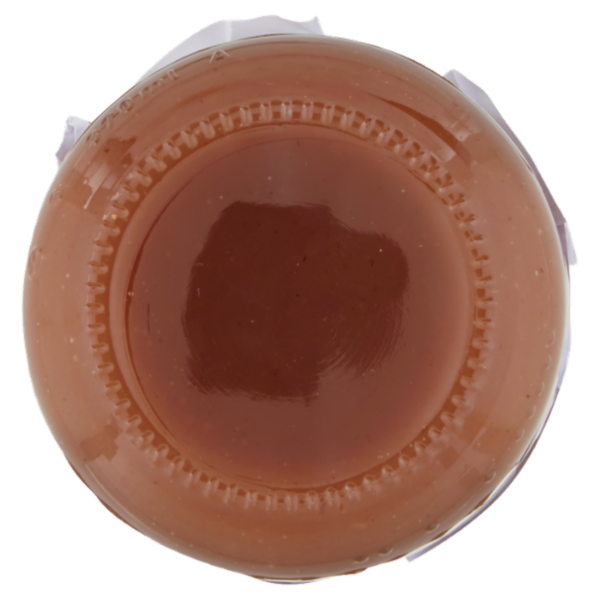 Vis Natura golosa Crema Marroni 400 g