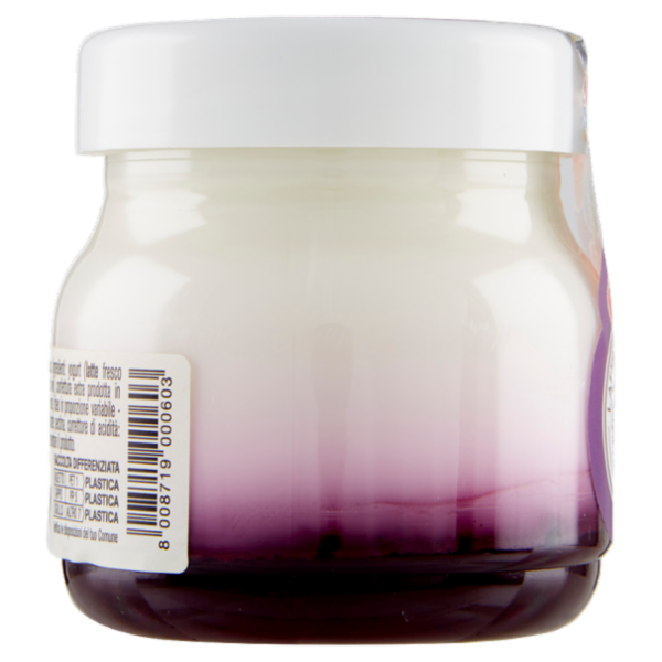 AlpiYò Valtellina Yogurt di Montagna con Confettura Extra di Frutti di Bosco 125 g