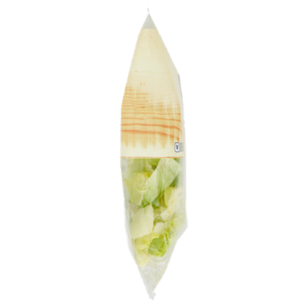 IL GIGANTE le Insalate Iceberg 200 g