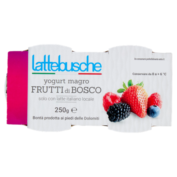 lattebusche yogurt magro Frutti di Bosco 2 x 125 g