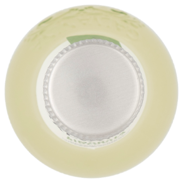 Galvanina Limonata Biologica 355 ml