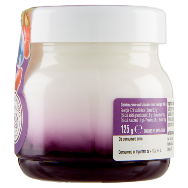 AlpiYò Valtellina Yogurt di Montagna con Confettura Extra di Frutti di Bosco 125 g