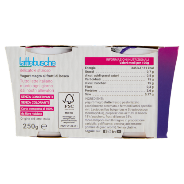 lattebusche yogurt magro Frutti di Bosco 2 x 125 g