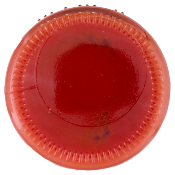 Rodolfi Passata Classica 690g