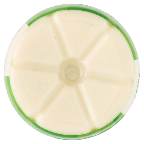 Milk Kefir Multifrutti 480 g