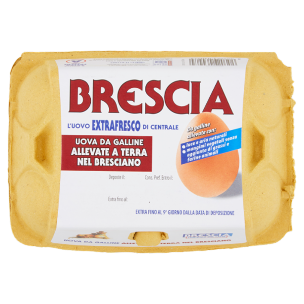 Brescia Uova da Galline Allevate a Terra nel Bresciano 6 Uova Extra Fresche Cat. A 340 g