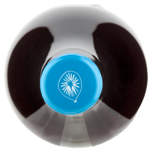 Fichimori Salento IGT 750 ml