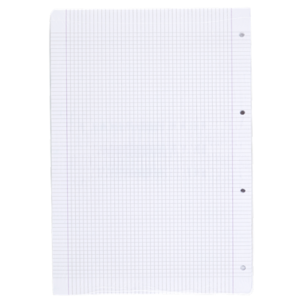 Selex Ricambio Bianco Quaxima Formato A4 40 Fogli Rinforzati 80 g Quadretti 4 mm con Margine