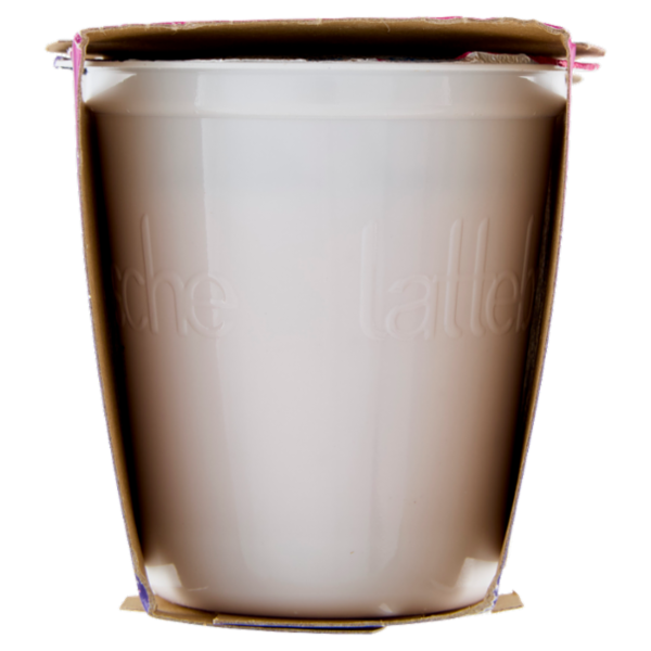 lattebusche yogurt magro Frutti di Bosco 2 x 125 g