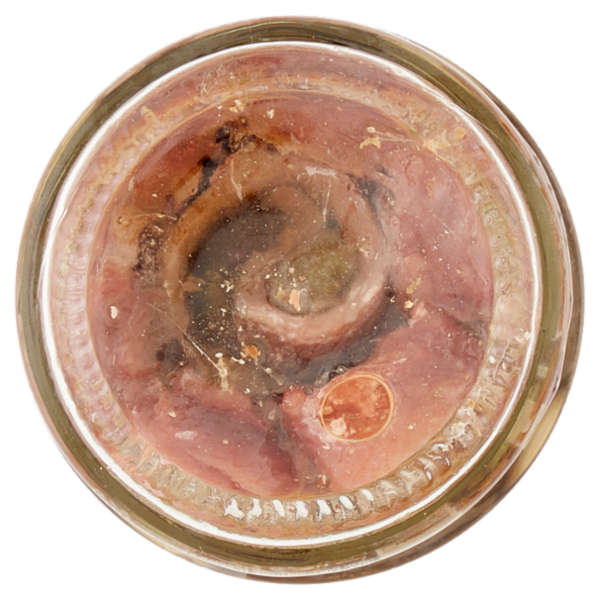 Zarotti Filetti di Alici alla Moresca con Cappero in Olio Delicato 110 g