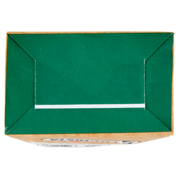 Fochista Verdefuoco Bio-Accendifuoco per Barbecue, Camini e Stufe 96 Cubi 550 g