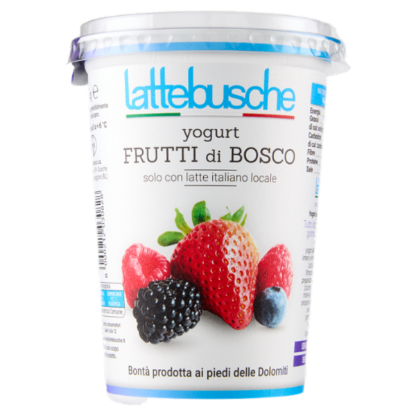 lattebusche yogurt Frutti di Bosco 500 g