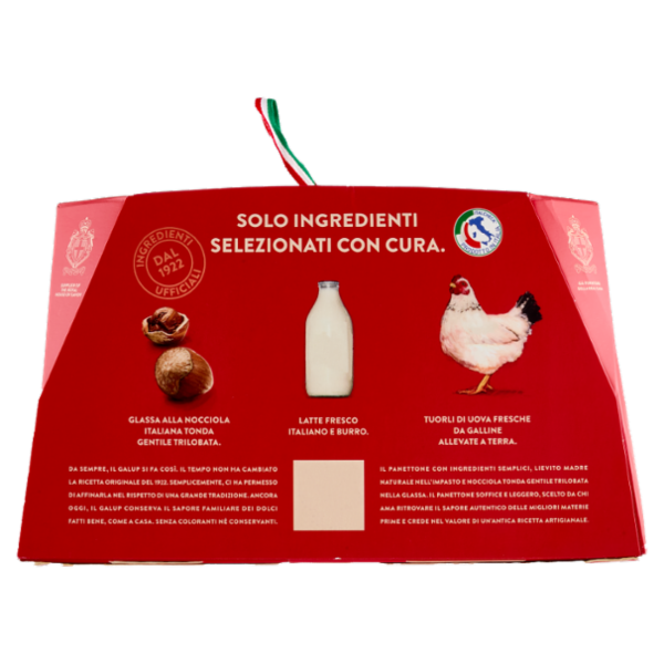 Galup il Panettone con Glassa Fatta a Mano alle Nocciole* 1000 g
