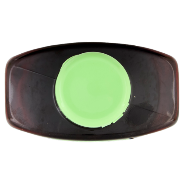 I Provenzali Shampoo Erboristico Limone e Ortica Capelli Grassi 250 ml