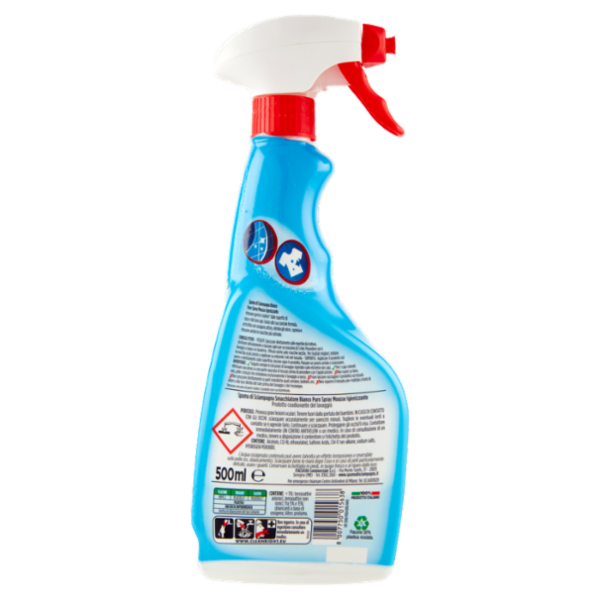 Spuma di Sciampagna Smacchiatore Bianco Puro Spray Mousse Igienizzante 500 ml