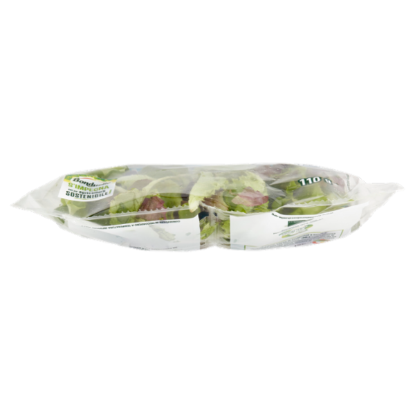 Bonduelle le Tenere 110 g