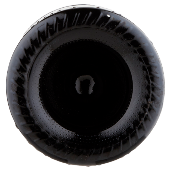 Le Vie Dell'Uva Chianti D.O.C.G. Biologico 750 ml