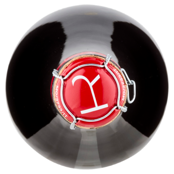 Righi Lambrusco Grasparossa di Castelvetro DOC secco 100% Righi 750 ml