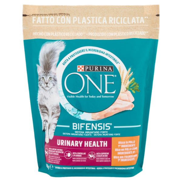 PURINA ONE Urinary Health Ricco in Pollo 800 g