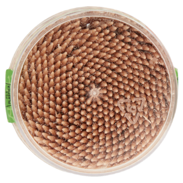 Samurài l'Originale stuzzicadenti 500 pz