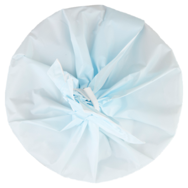 Selex Vivi Bene Gallette di Riso Biologiche 100 g